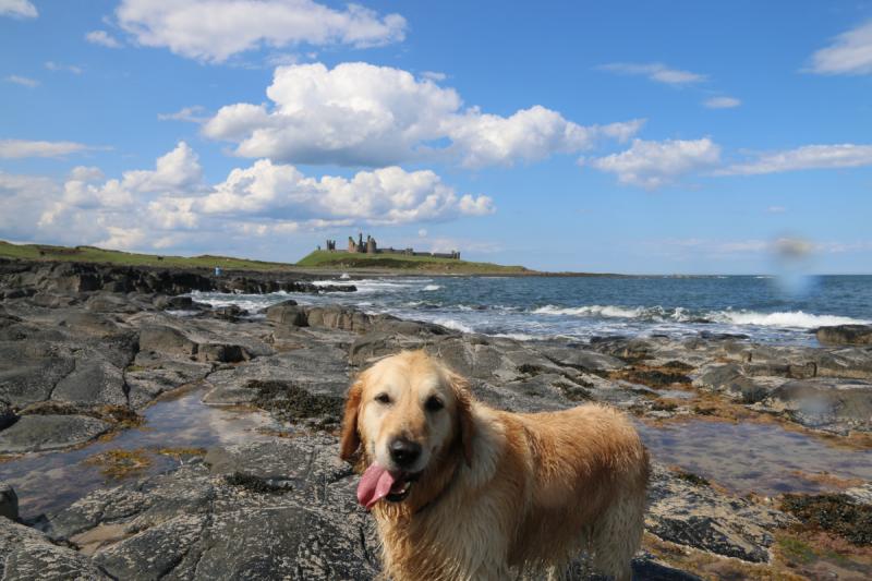 Thirst for more: Image by Steve Hare